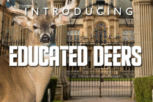 Educated Deers: A Bold Display Font for Editorial Design